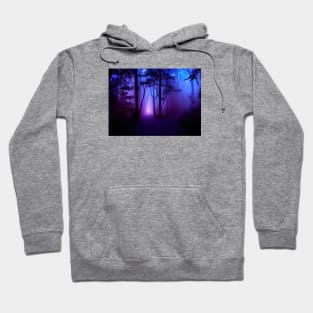 Mystical doorway in a blacklight forest Hoodie